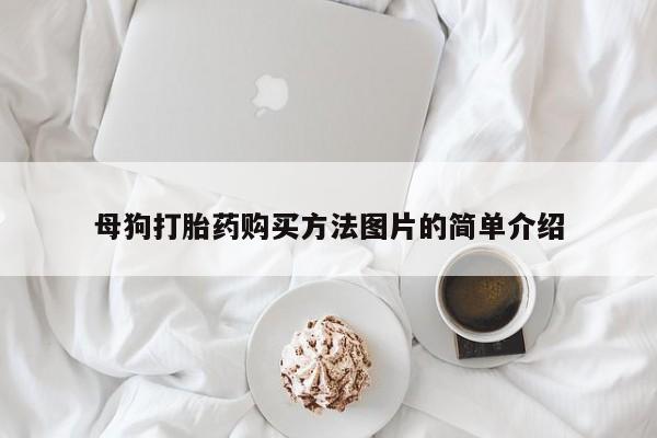 打胎药叫什么名字微信怎么购买母狗打胎药购买方法图片的简单介绍